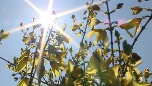 Počasie už naplno pripomína jar, ale ešte sa chystá výrazná zmena