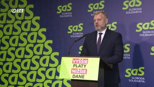 Tlačová beseda strany SaS: Ďalšia kauza ministra Eštoka