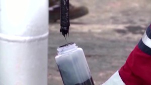 Bratislavská rafinéria pravdepodobne bude musieť platiť mimoriadnu daň z ruskej ropy