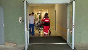 Dôchodkyňu dohrýzol jej vlastný pes. Má vážne zranenia hlavy a tváre