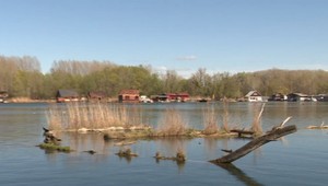 Čo človek zavinil, oni napravujú. Rybári zachraňujú populáciu rýb