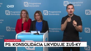 Tlačová beseda PS: Konsolidácia likviduje ZUŠ-ky