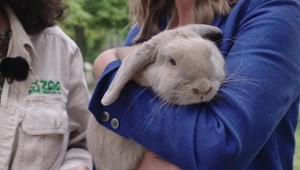 Samica králika Bella opäť tipuje víťaza. Jej favorit dnešného zápasu je jasný