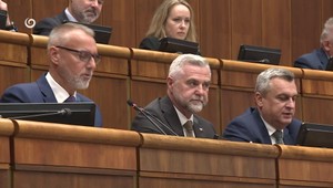 Voľby zo zahraničia: Koalícia sa snaží o dohodu už mesiace