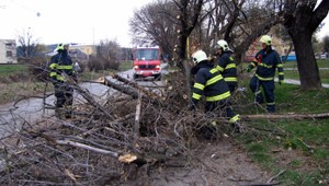 Vietor páchal škody! Vyvracal stromy a strhával strechy