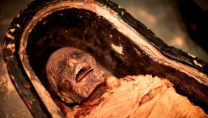 V stredovekej Európe jedli ľudia hrozné veci