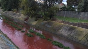 Neznáma látka vystrašila obyvateľov. Rieka nabrala krvavo červenú farbu