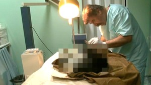 Zastreleného psa okradli. Zobrali mu obojok