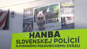 Bývalý krajský policajný šéf zastrelil psa. Vyšetrovanie najprv zamietli, majiteľ psa bojuje ďalej
