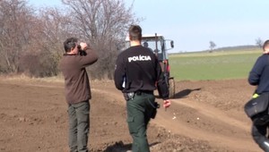 Na pole pri Cabaj-Čápore rozsiali s hnojom aj jed, umrelo množstvo zvery