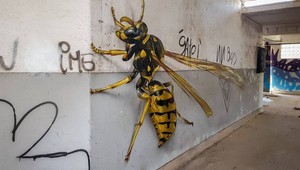 Z graffiti tohto obrovského hmyzu by nám zlyhali základné životné funkcie