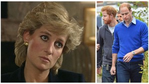 William a Harry: Sklamali sme matku, mali sme ju ochraňovať