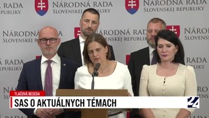 Tlačová beseda strany SaS k aktuálnym témam
