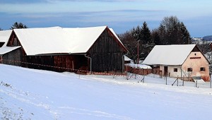 Muž zabil brata a sestru, ťažko zranil matku. Potom sa obesil