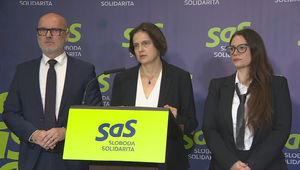 Tlačová beseda strany SaS k aktuálnej politickej situácii
