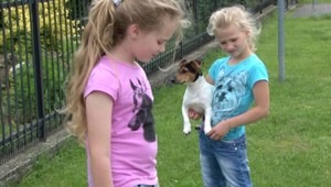 Boj o deti (7,6). Majú žiť s otcom vo Francúzsku