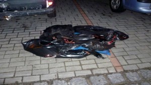 Otrasný nález! Vo vreciach našli psov stiahnutých z kože