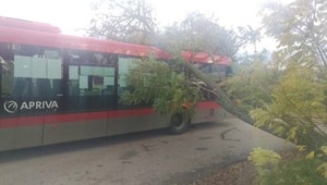 ONLINE: Popadané bilbordy aj stromy. Víchrica na Slovensku