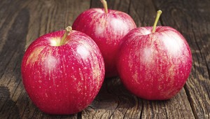 Ruský veľvyslanec v Poľsku odmietol kusnúť do poľského jablka