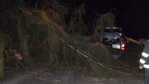 Šťastie v nešťastí! Na idúce auto pred Malužinou spadli dva hrubé stromy