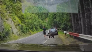 Medveď vyšiel z kríkov priamo k turistovi a pohrýzol ho do lýtka: Muž si ho najprv nevšimol