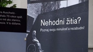 Film Veroniky Homolovej Tóthovej zožal úspech v europarlamente