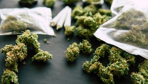 Kanadský startup prichádza na trh s trávou bez zápachu