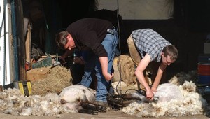 Strihači oviec chcú preniknúť medzi ukážkové športy na OH!