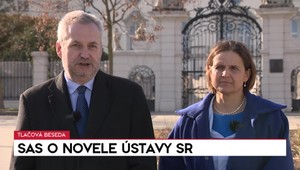 Tlačová beseda strany SaS o novele ústavy