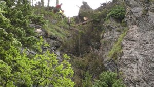 Špecialisti na výškové práce zachraňovali turistickú sezónu v Tatrách. Spíliť museli takmer 30 stromov