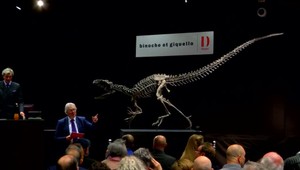 Nielen klasické umenie či trofeje. Obydlie si môžete skrášliť aj skamenelinami, ak máte pár miliónov navyše