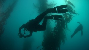 Telo Bin Ladina na dne oceánu? Vyloví ho tento potápač