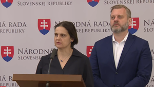 Tlačová beseda strany SaS: Vláda znevažuje súdnu moc