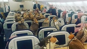 Princ zaplatil svojim 80 sokolom let prvou triedou