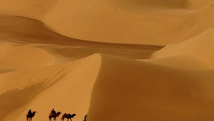 Pieskové čínske peklo. Nikdy viac