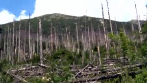 Vlani povodne, teraz sucho. Nočnou morou v Tatrách sú bezohľadní turisti