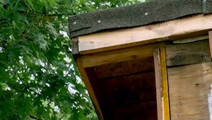 Najprv počul veľkú ranu. Potom ho blesk trafil vo vlastnej posteli