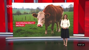 Svet 24 o unikátnych kamenných stavbách aj o novej potravine pre včely