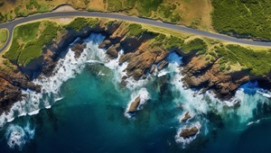 V Austrálii objavili 180 kilometrovú rastlinu: Je stará tisíce rokov