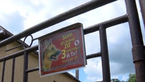 Muž po útoku psa takmer prišiel o nos. Belgický ovčiak je v tom ale podľa polície zrejme nevinne