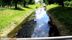 Tragédia na grilovačke. Žena sa utopila v plytkom potoku