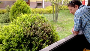 Škodcovia napádajú rastliny, pomôcť dokáže aj obyčajná krieda