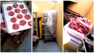 Mäso skladovali pri kontajneroch, potom ho dávali zákazníkom