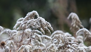 Slovenské mrazy pokračujú: V tejto oblasti namerali až mínus 20 stupňov