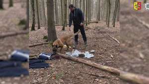 Mladík niekoľkokrát denne zapaľoval stromy. Skončil v rukách polície