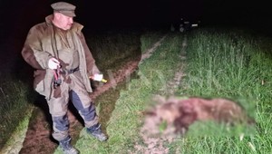 Rudolf Huliak zastrelil medveďa