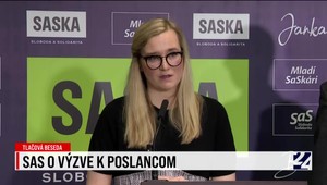 Tlačová beseda SaS o výzve k poslancom