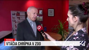 Vtáčia chrípka v ZOO: Aká je situácia na Slovensku?