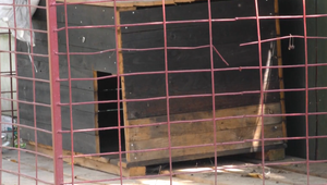 Šokujúci incident: Tínedžera zbil opaskom a poštval naňho psa