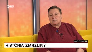 Rozhovory 24: História zmrzliny